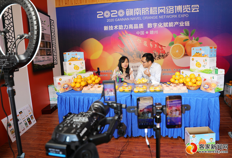 2020年赣南脐橙网络博览会开幕